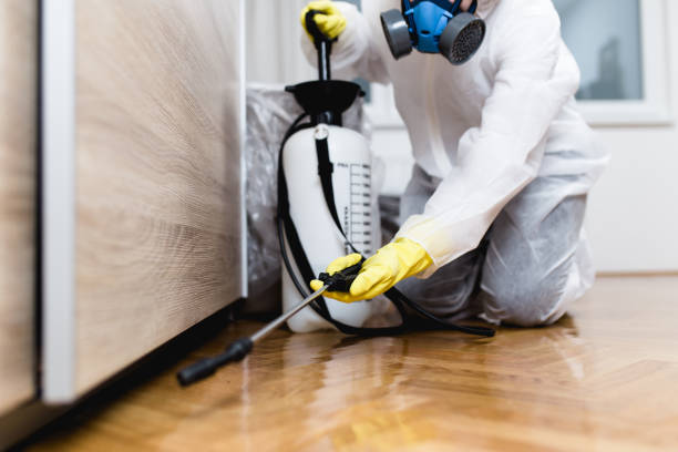 Best Commercial Pest Control Services  in Port Norris, NJ