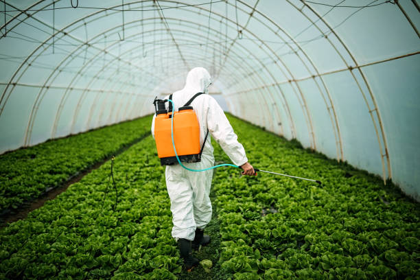 Best Best Pest Control Companies  in Port Norris, NJ
