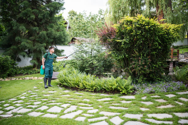Professional Pest Control in Port Norris, NJ