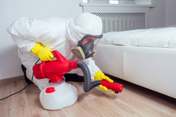 Best Local Pest Control Services  in Port Norris, NJ