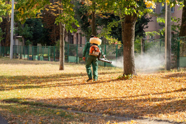Trusted Port Norris, NJ Pest Control Experts