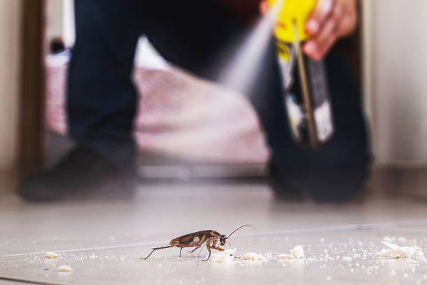Best Flea Control Services  in Port Norris, NJ