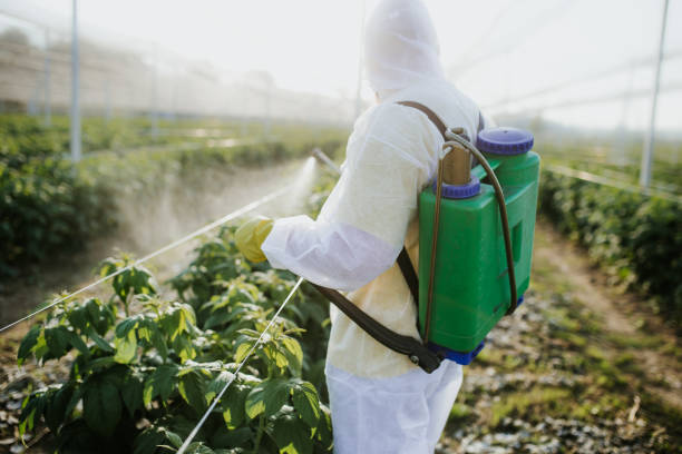 Best Pest Removal Services  in Port Norris, NJ